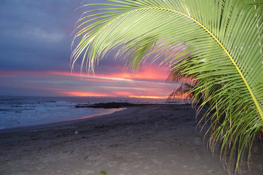 Casa Zen Guesthouse & Yoga Center Playa Santa Teresa  Exterior photo